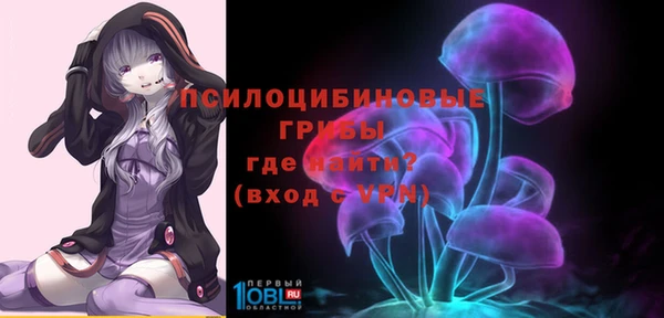 мдпв Навашино