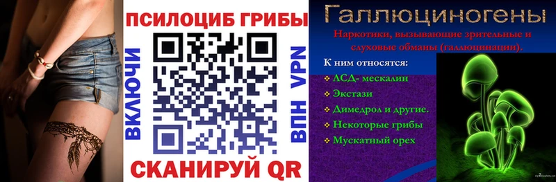 Галлюциногенные грибы мицелий  где продают   Оса 