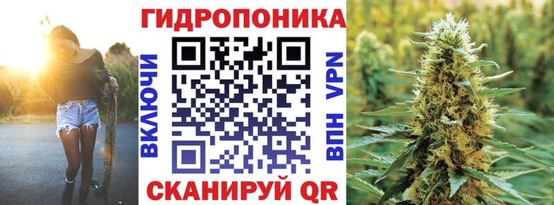Конопля OG Kush  наркота  Оса 